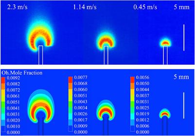 Numerical Study on the Effect of Wall Thickness on the Combustion Characteristics of Non-premixed Hydrogen Micro-jet Flame